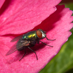 2011-08-25_10-47-43_Henk-Dekker.nl