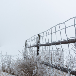 2013-01-25_09-31-45_Copyright_Henk-Dekker.nl_0043