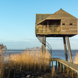 2014-01-04_11-08-26_Copyright_Henk-Dekker.nl_0095