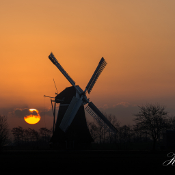 2014-02-12_08-03-47_Copyright_Henk-Dekker.nl_0098