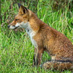 2014-08-23_14-25-08_Copyright_Henk-Dekker.nl_0119