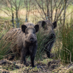 2015-01-11_13-43-34_Copyright_Henk-Dekker.nl_0127