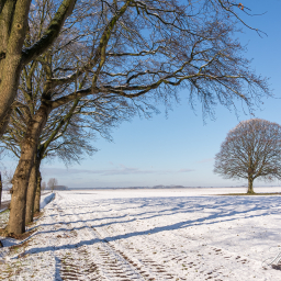 2015-01-30_14-27-48_Copyright_Henk-Dekker.nl_0132