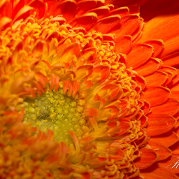 2015-04-13_18-02-02_Copyright_Henk-Dekker.nl_0133