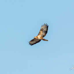 2015-06-04_19-13-52_Copyright_Henk-Dekker.nl_0140