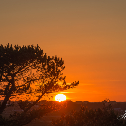 2015-07-16_21-56-26_Copyright_Henk-Dekker.nl_0151