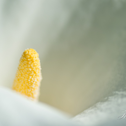 2015-07-23_13-56-41_Copyright_Henk-Dekker.nl_0159