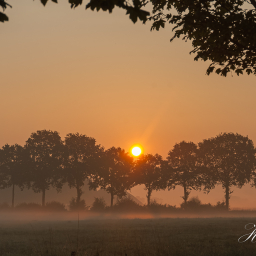 2015-08-21_06-43-42_Copyright_Henk-Dekker.nl_0177