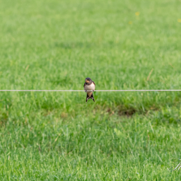 2015-08-29_09-24-15_Copyright_Henk-Dekker.nl_0178