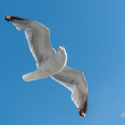 2016-05-07_08-21-56_Copyright_Henk-Dekker.nl_0200