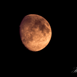 2016-08-14_21-09-36_Copyright_Henk-Dekker.nl_0241