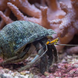 2016-10-17_10-48-13_Copyright_Henk-Dekker.nl_0297