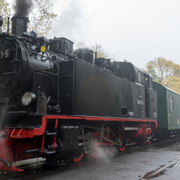 2016-10-19_12-00-48_Copyright_Henk-Dekker.nl_0303