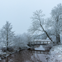 2017-01-18_09-32-39_Copyright_Henk-Dekker.nl_0308