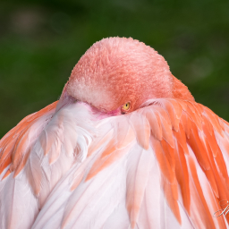 2017-05-02_12-14-26_Copyright_Henk-Dekker.nl_0333