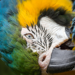 2017-08-17_13-47-40_Copyright_Henk-Dekker.nl_0347