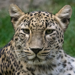 2018-07-21_08-55-39_Copyright_Henk-Dekker.nl_0402