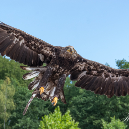 2018-07-30_10-14-42_Copyright_Henk-Dekker.nl_0412