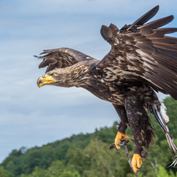 2018-07-30_10-15-14_Copyright_Henk-Dekker.nl_0413
