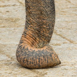 2018-08-05_09-51-32_Copyright_Henk-Dekker.nl_0423