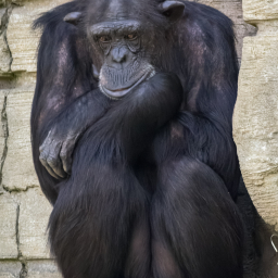 2018-08-05_11-33-39_Copyright_Henk-Dekker.nl_0428
