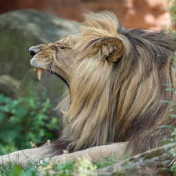 2018-08-05_12-57-36_Copyright_Henk-Dekker.nl_0430