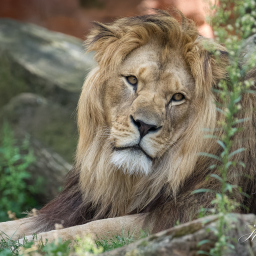 2018-08-05_12-59-58_Copyright_Henk-Dekker.nl_0431
