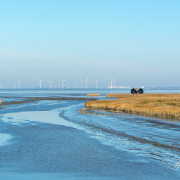 2018-10-14_11-25-27_Copyright_Henk-Dekker.nl_0461