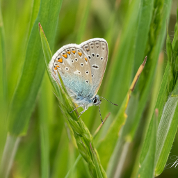 2019-05-28_10-38-59_Copyright_Henk-Dekker.nl_0489