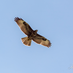 2019-07-23_15-23-57_Copyright_Henk-Dekker.nl_0494