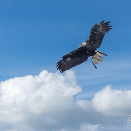 2020-09-05_17-22-46_Copyright_Henk-Dekker.nl_0658