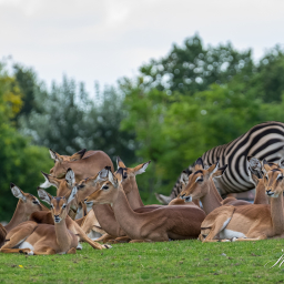 2021-08-25_13-23-58_Copyright_Henk-Dekker.nl_0706