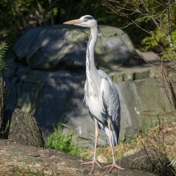 2022-03-08_14-12-43_Copyright_Henk-Dekker.nl_0720