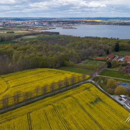 2022-05-01_14-49-04_Copyright_Henk-Dekker.nl_0725