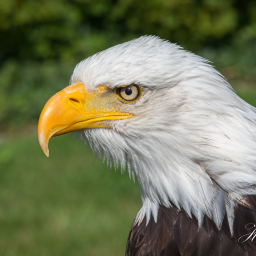 2022-07-12_09-59-51_Copyright_Henk-Dekker.nl_0772