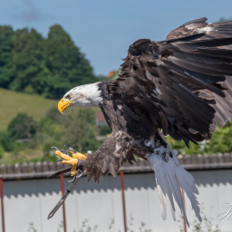 2022-07-12_11-17-15_Copyright_Henk-Dekker.nl_0781