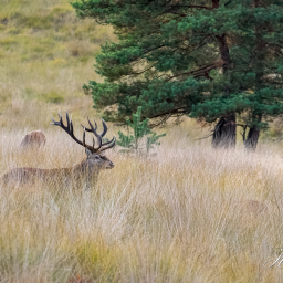 2022-09-14_18-47-27_Copyright_Henk-Dekker.nl_0833