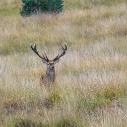 2022-09-14_19-06-17_Copyright_Henk-Dekker.nl_0834