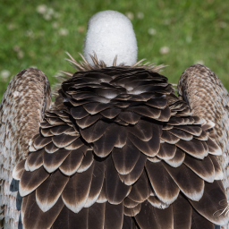 2025-07-01_10-31-44_Copyright_Henk-Dekker.nl_0897