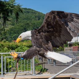 2025-07-01_11-16-40_Copyright_Henk-Dekker.nl_0904