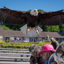 2025-07-01_11-20-05_Copyright_Henk-Dekker.nl_0905