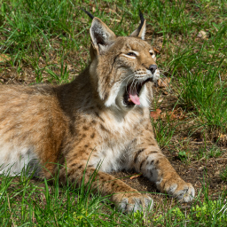 2025-07-24_10-06-05_Copyright_Henk-Dekker.nl_0918