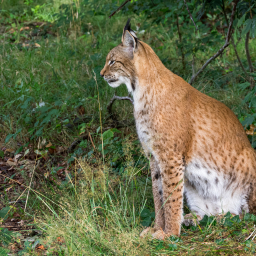 2025-07-24_10-11-48_Copyright_Henk-Dekker.nl_0920
