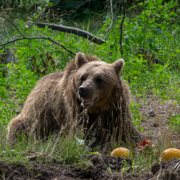 2025-07-24_11-30-08_Copyright_Henk-Dekker.nl_0926