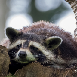 2025-07-24_13-40-53_Copyright_Henk-Dekker.nl_0935