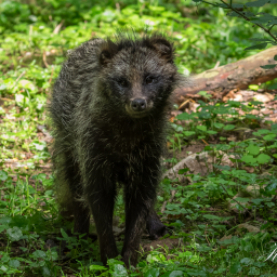 2025-07-24_13-49-17_Copyright_Henk-Dekker.nl_0939
