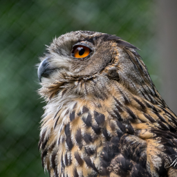 2025-07-24_13-54-19_Copyright_Henk-Dekker.nl_0940